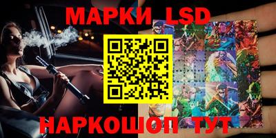 МДПВ Новозыбков