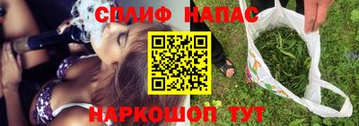 МДПВ Новозыбков