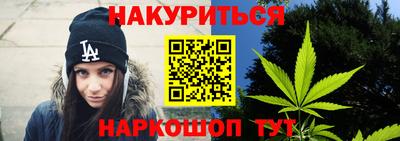 МДПВ Новозыбков
