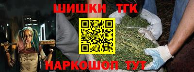 МДПВ Новозыбков
