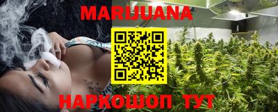 МДПВ Новозыбков