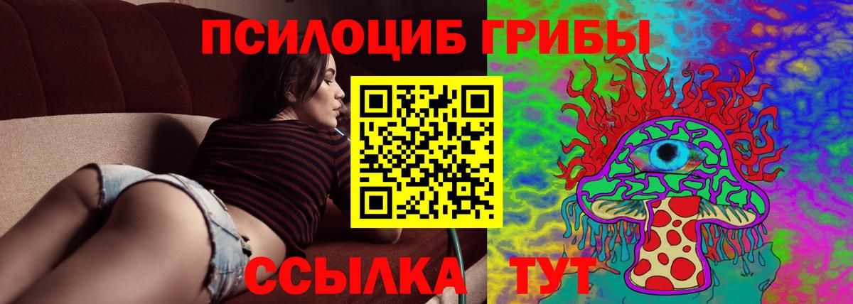 купить наркоту  Вход с VPN  Тихорецк  Псилоцибиновые грибы мицелий 
